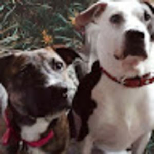 Meet your Posher, Alexandra